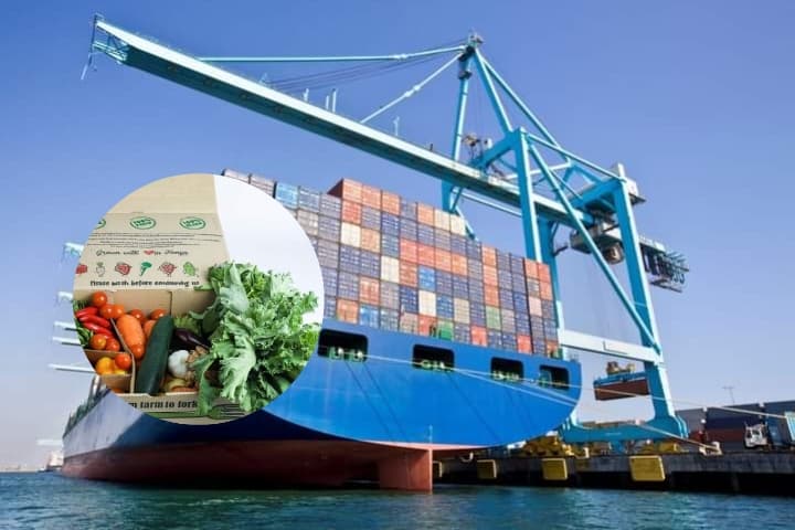 Central Bank : Exports increase by 8.8%