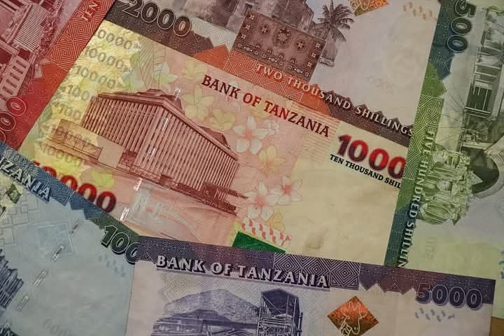 Tanzanian Shilling Rallies to 10-Month High Against Dollar