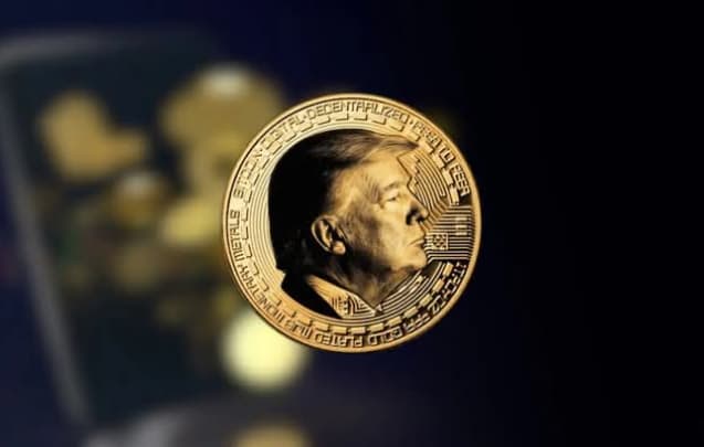 Trump meme coin winners raked in hundreds of millions of dollars profits