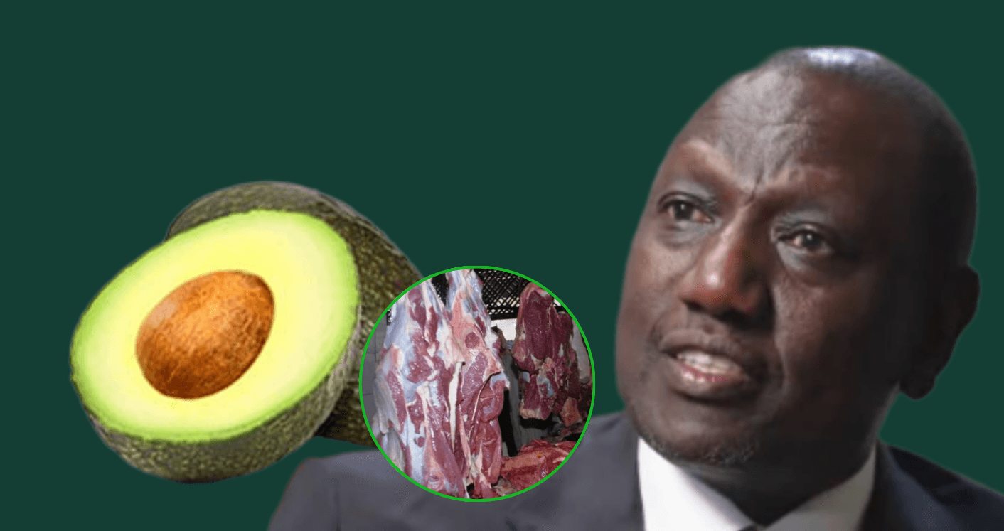 World Bank proposes 16% VAT on Avocado, meat