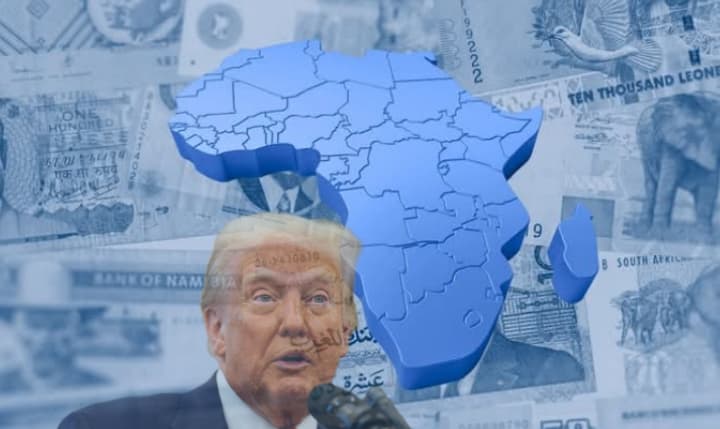 Africa explores local currency payment systems to break from US Dollar, Trump