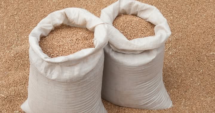 Govt Reduces Earnings For Wheat Farmers in New Price List