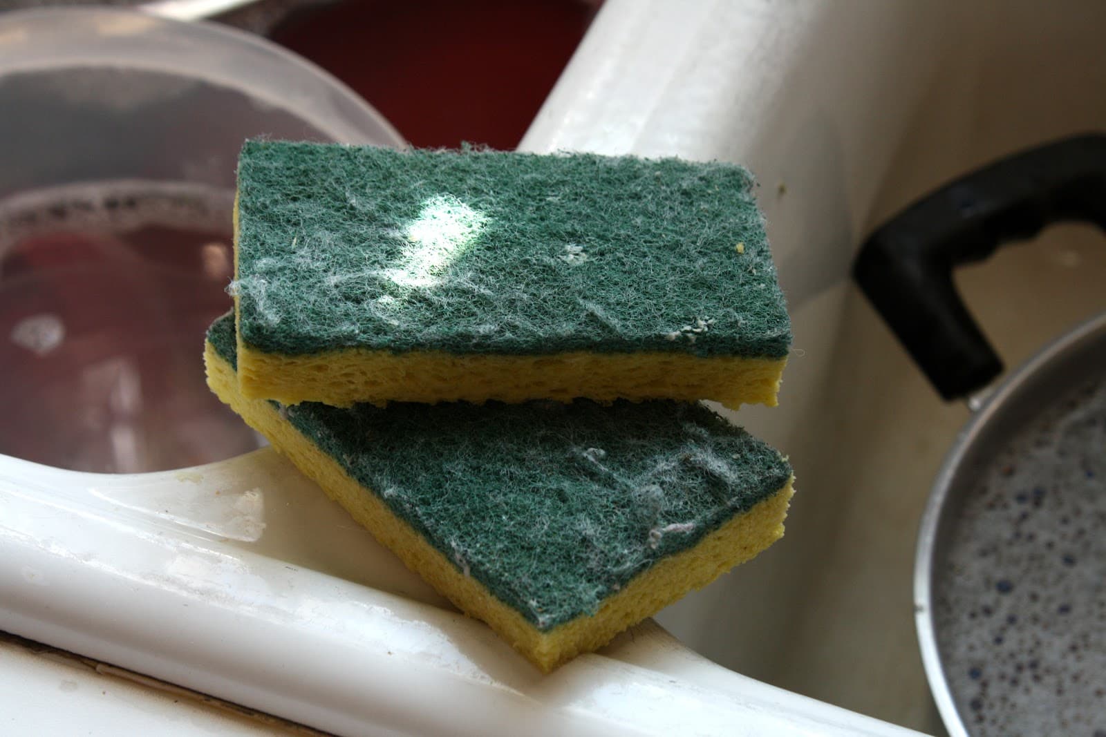 Why your kitchen sponge could be dirtier than your toilet seat