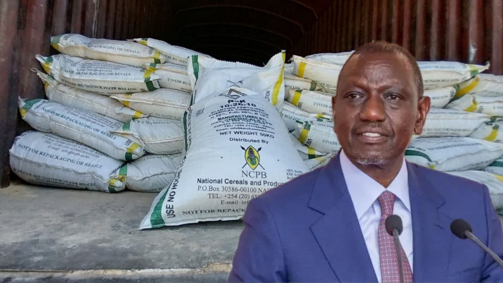 Audit exposes fake firms, unsafe inputs, lost billions in Ruto's fertiliser subsidy