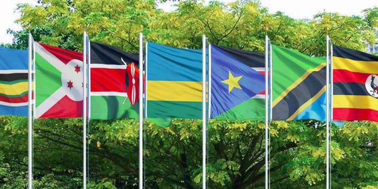 Kenya to pay highest contribution to EAC budget in proposed new model
