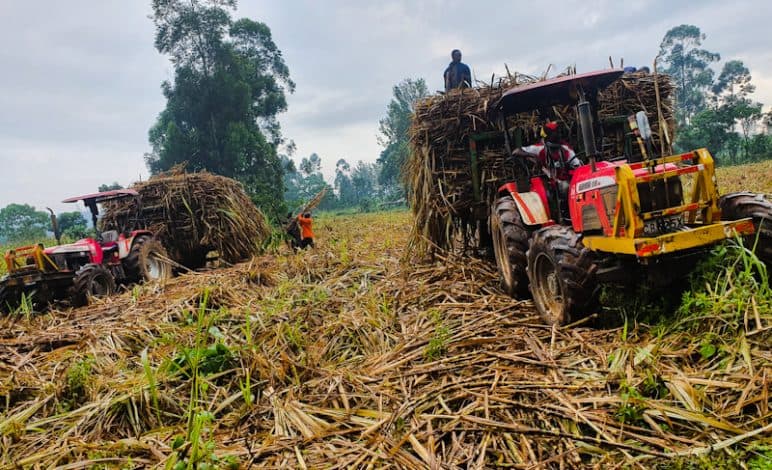 Kenya’s Largest Sugar Miller Halts Operations Over Fuel Shortage