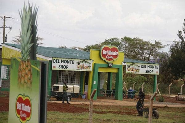 Del Monte Touts $800M GDP Impact, 20,000 Jobs Over 20 Years