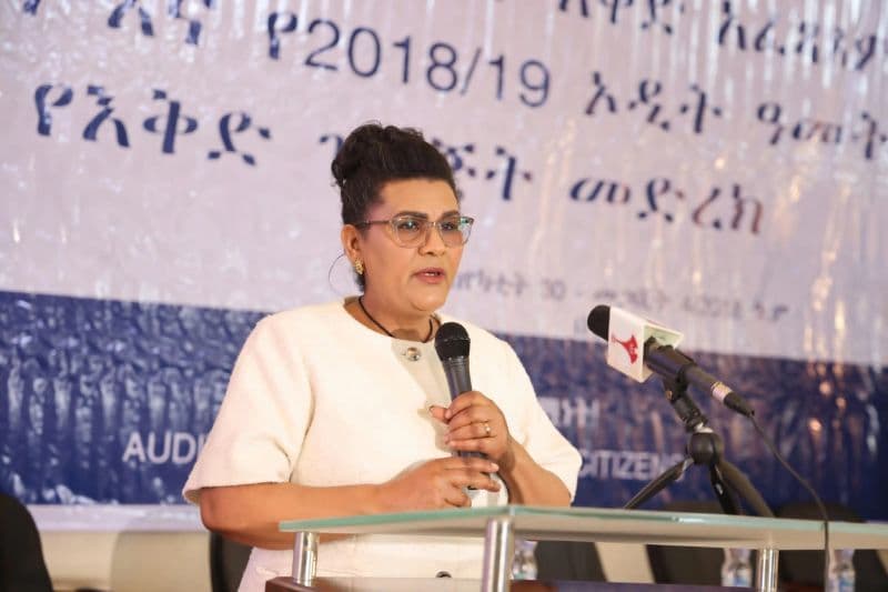 Ethiopia Auditor Flags Over 16 Billion Birr in Unsettled Receivables