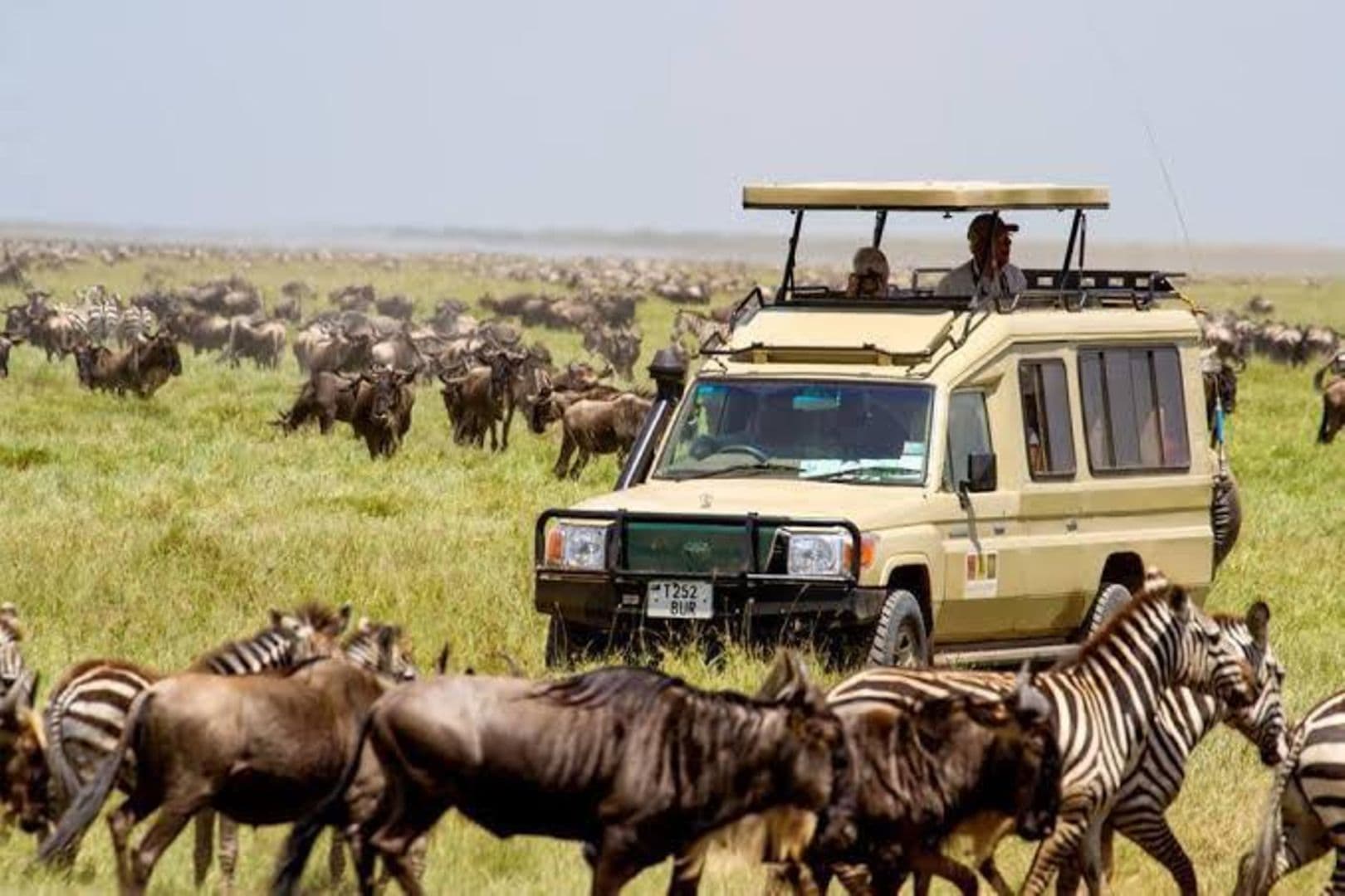 Tanzania Tourism Earnings Hit Record USD 4.4Bn